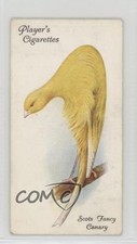 1933 player aviary d'occasion  Expédié en Belgium