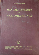 Spalteholz spanner manuale usato  Reggio Calabria