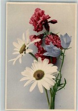38075556 margeriten glockenblu gebraucht kaufen  Eimeldingen