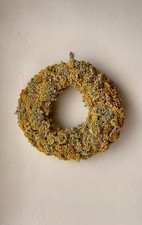 Yellow yarrow dried for sale  Philadelphia