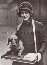 Cachorro Dachshund miniatura de cabelo de arame Zwergteckel Hund, estampa vintage década de 1930, usado comprar usado  Enviando para Brazil