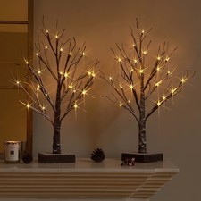 Lighted snow dusted for sale Lighted snow dusted for sale  Eugene