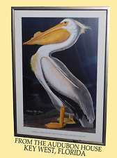 Plt311 american white for sale  Reidsville