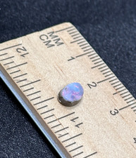 Polished tiny australian for sale  Camino