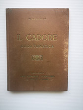 Cadore guida turistica usato  Polcenigo