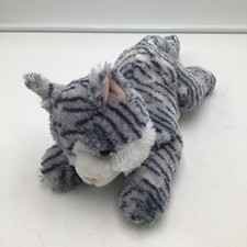 Aurora lily cat for sale  Cass City