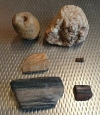Fosilien versteinerung holz gebraucht kaufen  Roth