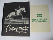 1962 connemara pony for sale  Ocala
