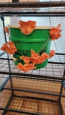 Pink oyster mushroom for sale  Hinsdale