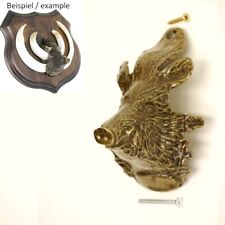 Keiler kopf verzierung gebraucht kaufen  Nagel