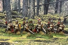 Lone wolf citadel for sale  CHESTERFIELD