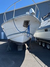 2000 chris craft for sale  Mesa