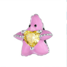 Charm anhänger 925 gebraucht kaufen  Neustrelitz