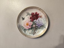 Peony prelude lena for sale  BRIDGEND