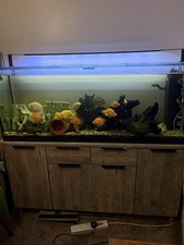 Aqua one 5ft for sale  MEXBOROUGH
