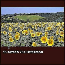 Quadro moderno tela usato  Italia