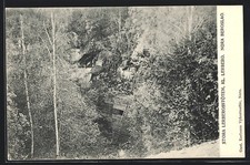 Cartolina nora stora usato  Spedire a Italy