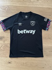 West ham united gebraucht kaufen  Wennigsen