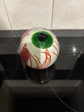 eye ball for sale eye ball for sale NORWICH