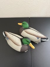 Hard core mallard for sale  El Paso