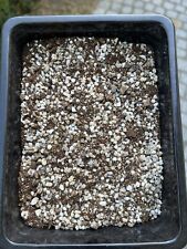 Lithops soil 1 gebraucht kaufen  Berlin