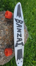 vintage skateboard gebraucht kaufen  Ulm