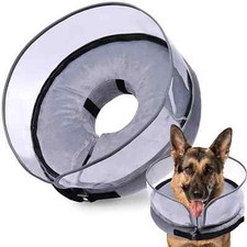 Medium dog neck for sale  Raleigh