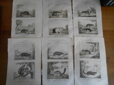 gravures anciennes d'occasion gravures anciennes d'occasion Expédié en Belgium