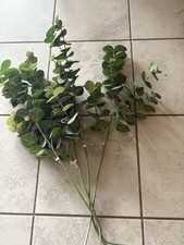 Eucalyptus bundles set d'occasion  Expédié en Belgium