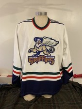Bauer grand rapids for sale  Prudenville