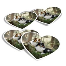 Heart stickers sheltie for sale  SELBY