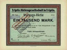 Triptis 1922 veb gebraucht kaufen  Bayreuth
