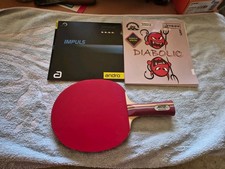 Tischtennis schläger beläge gebraucht kaufen  Bad Lobenstein