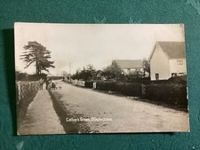 Colliers green staplecross for sale  WATLINGTON