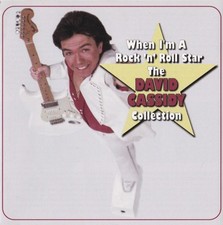 David cassidy rock for sale  USA