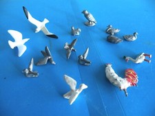 Birds mini lot for sale  Saint Petersburg