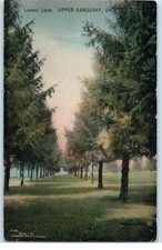 Postcard sandusky lovers for sale  Janesville