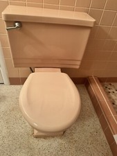pink toilet for sale pink toilet for sale Clearwater