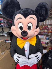 Nuovo costume mascotte usato  Spedire a Italy