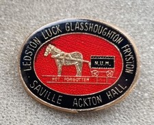Ledston luck pits for sale  SHEFFIELD