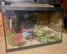 Fish tank marine for sale Fish tank marine for sale  LONDON