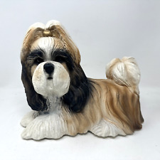 Shih tzu lhasa for sale  Dyer
