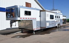 2018 elite horse for sale  Amarillo