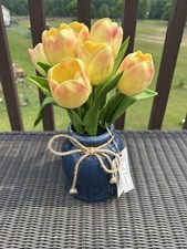 Yellow apricot tulips for sale  Stacy