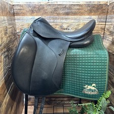 17.5 stubben euphoria for sale  Purcellville