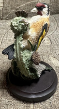 Goldfinch country bird for sale  SALFORD