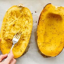 Spaghetti squash seeds for sale  Tarpon Springs