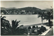 Rapallo panorama bozza usato  Roma