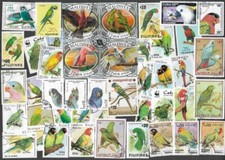 Parrots macaws parakeets for sale  MONTGOMERY
