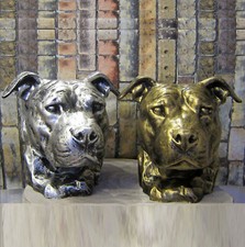 Büste staffordshire pitbull gebraucht kaufen  Burscheid